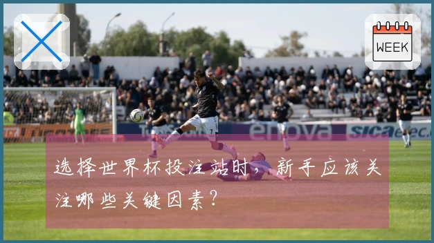 选择世界杯投注站时，新手应该关注哪些关键因素？
