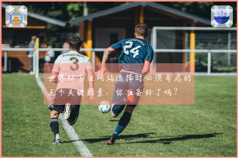 世界杯下注网站选择时必须考虑的五个关键因素，你准备好了吗？