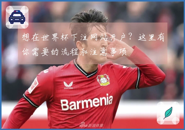 想在世界杯下注网站开户？这里有你需要的流程和注意事项