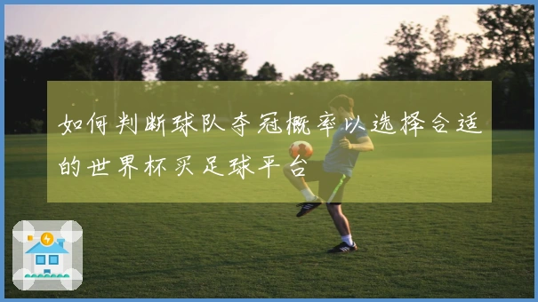 如何判断球队夺冠概率以选择合适的世界杯买足球平台