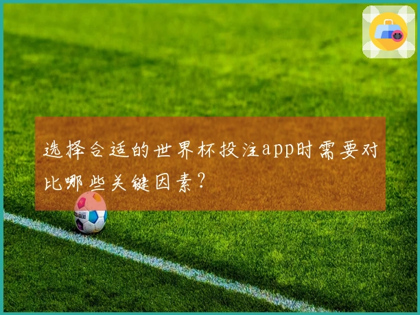选择合适的世界杯投注app时需要对比哪些关键因素？