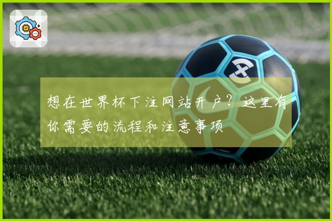 想在世界杯下注网站开户？这里有你需要的流程和注意事项