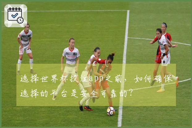 选择世界杯投注app之前，如何确保选择的平台是安全可靠的？