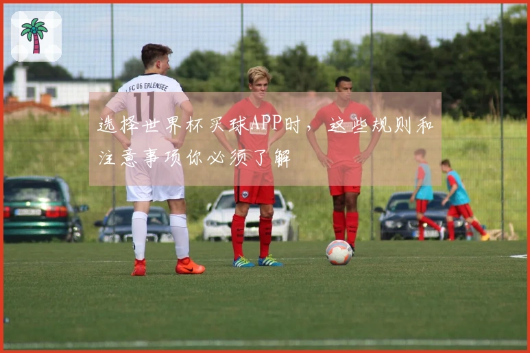 选择世界杯买球APP时，这些规则和注意事项你必须了解