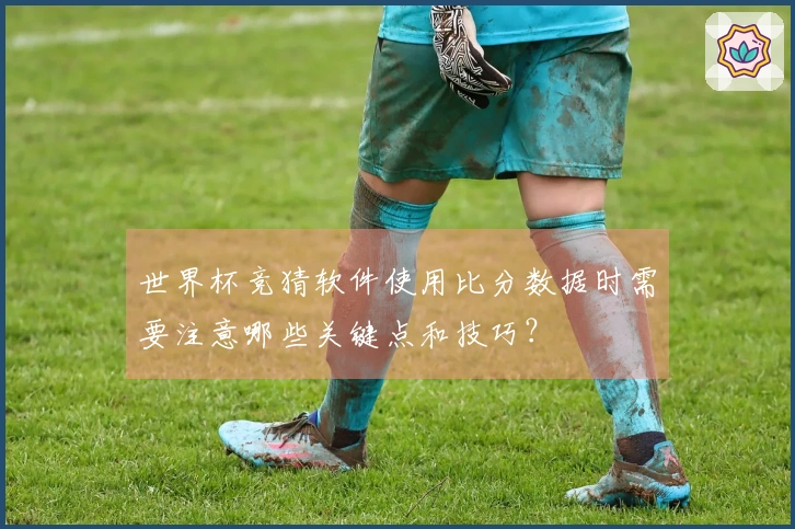 世界杯竞猜软件使用比分数据时需要注意哪些关键点和技巧？
