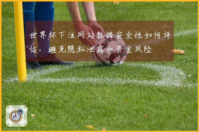 世界杯下注网站数据安全性如何评估，避免隐私泄露和资金风险
