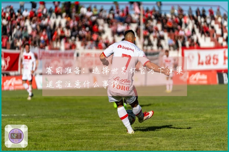 赛前准备：选择世界杯官方下注渠道需注意什么事项
