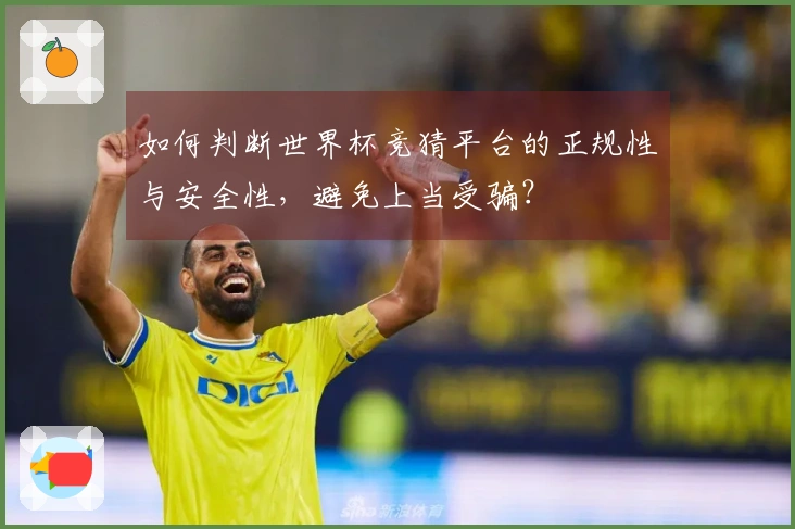 如何判断世界杯竞猜平台的正规性与安全性，避免上当受骗？