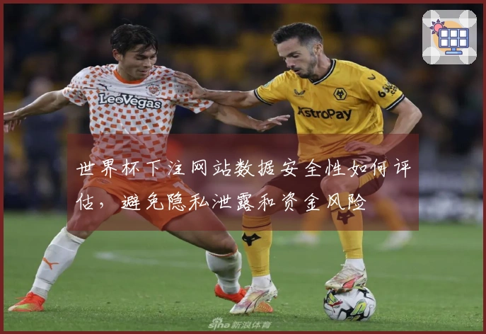 世界杯下注网站数据安全性如何评估，避免隐私泄露和资金风险
