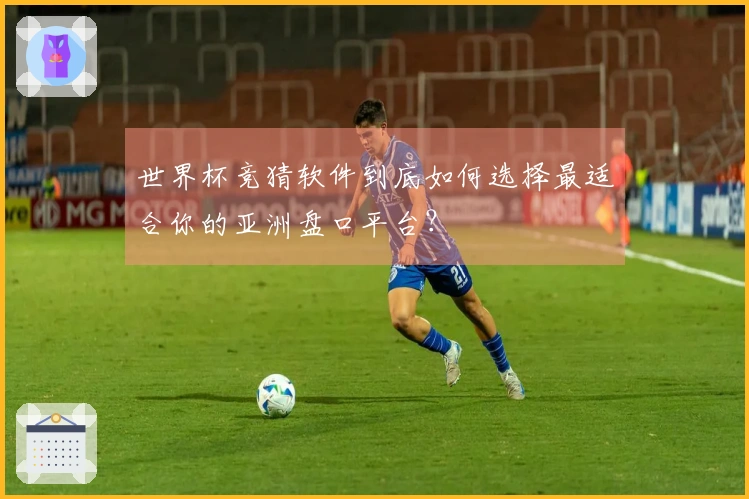 世界杯竞猜软件到底如何选择最适合你的亚洲盘口平台？