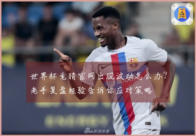世界杯竞猜官网出现波动怎么办？老手复盘经验告诉你应对策略