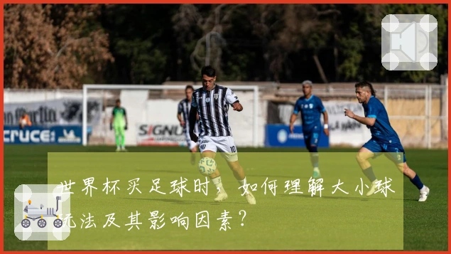 世界杯买足球时，如何理解大小球玩法及其影响因素？