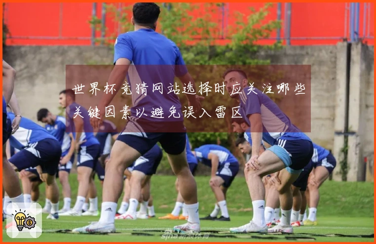 世界杯竞猜网站选择时应关注哪些关键因素以避免误入雷区