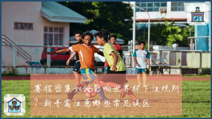 赛程密集如何影响世界杯下注规则？新手需注意哪些常见误区