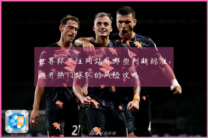世界杯下注网站有哪些判断标准，避开热门球队的风险攻略