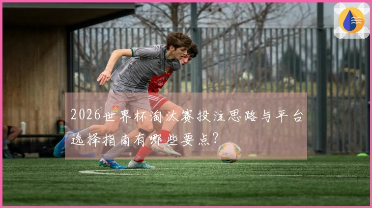 2026世界杯淘汰赛投注思路与平台选择指南有哪些要点？