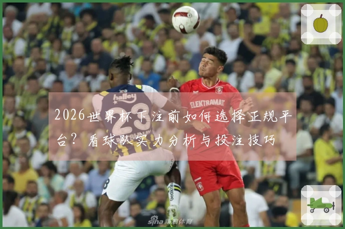 2026世界杯下注前如何选择正规平台？看球队实力分析与投注技巧