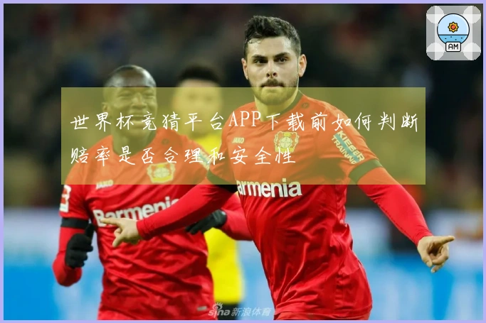 世界杯竞猜平台APP下载前如何判断赔率是否合理和安全性